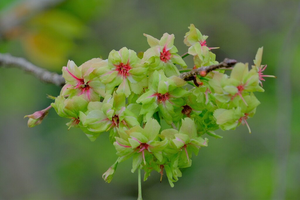 散歩の途中で。⑥