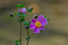 散歩の途中で。Ⅰ