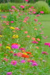 散歩の途中で。7