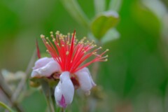 散歩の途中で。（２）