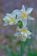 散歩の途中で。Ⅳ