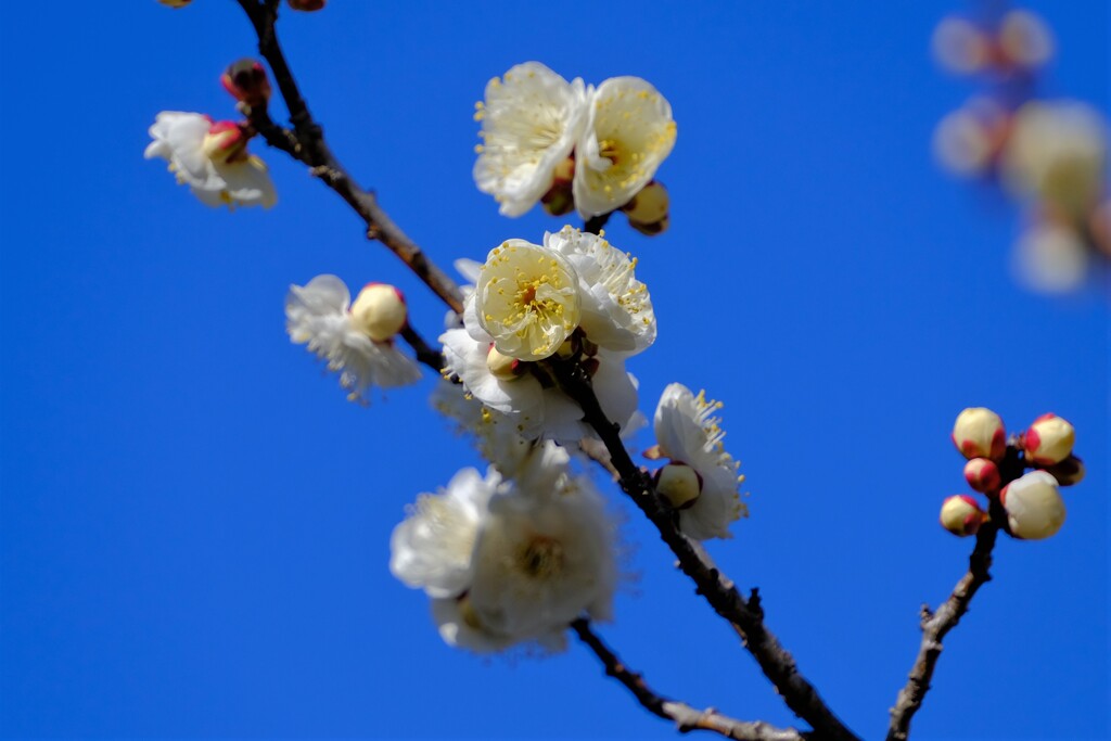 散歩の途中で。Ⅲ