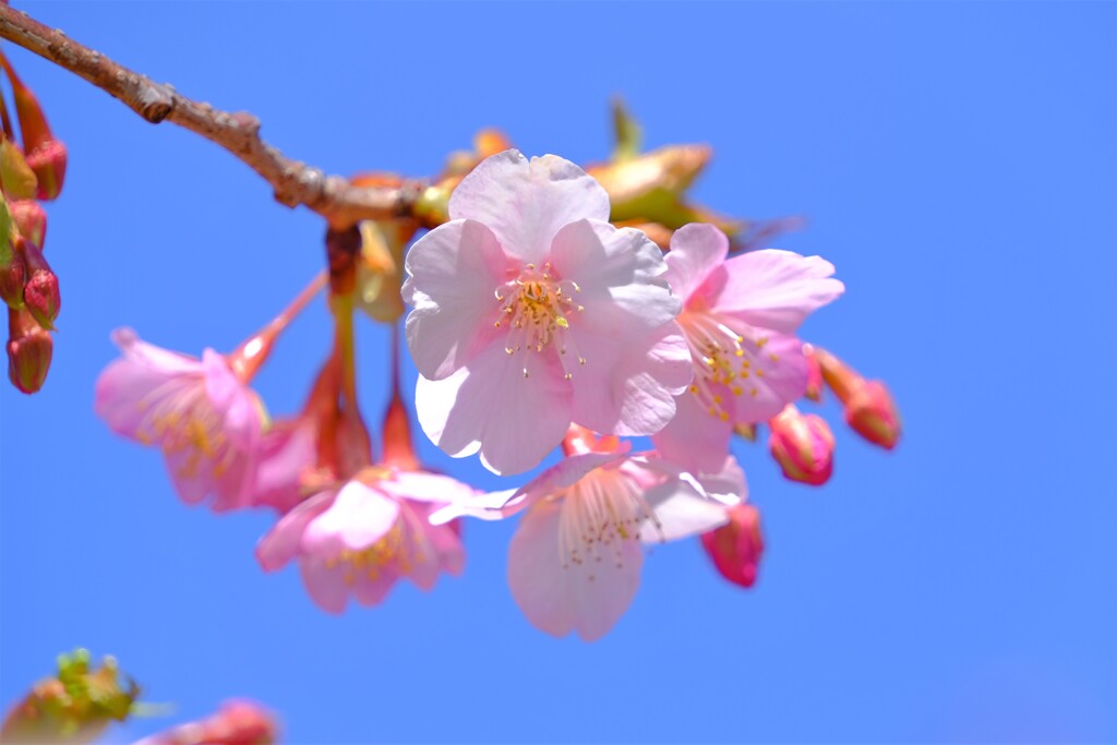 散歩の途中で。４