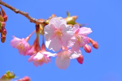 散歩の途中で。４