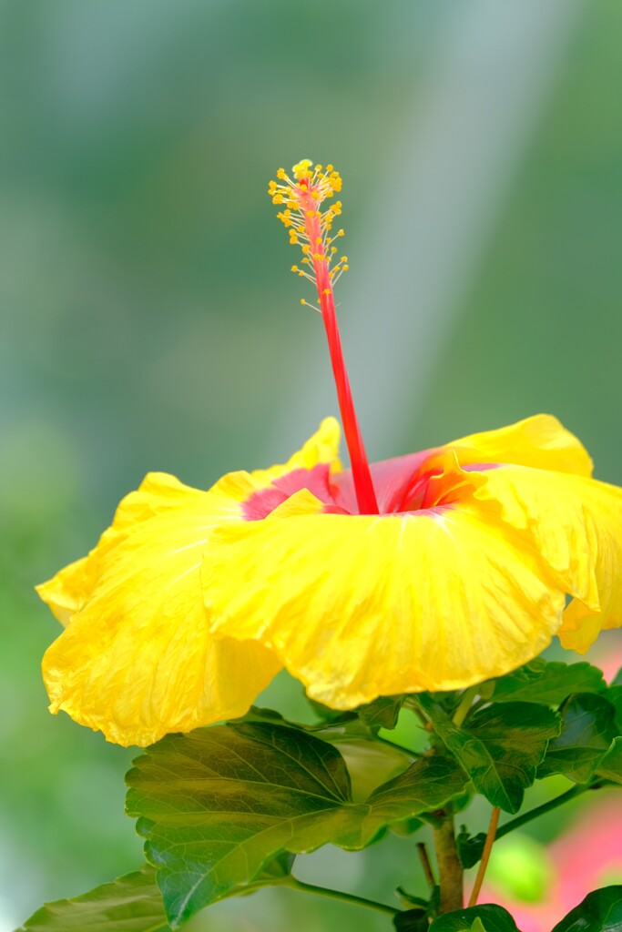 散歩の途中で。Ⅲ