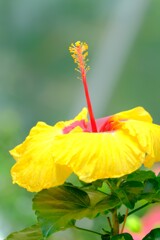 散歩の途中で。Ⅲ