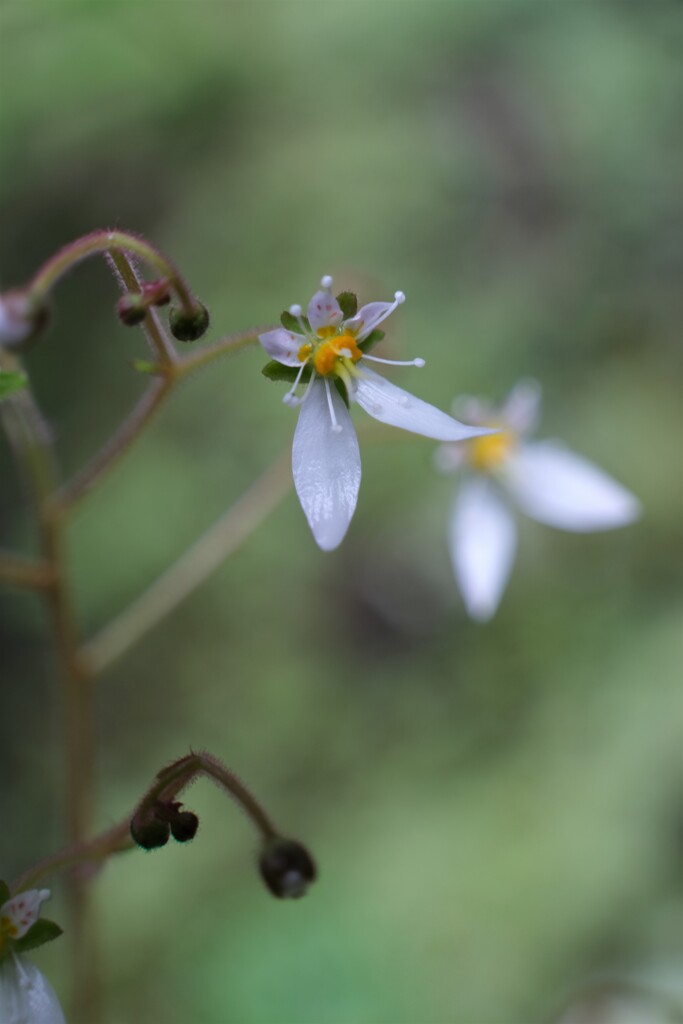 散歩の途中で。7