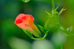 散歩の途中で。