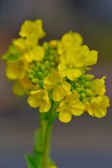 散歩の途中で。3