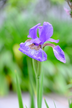 散歩の途中で。②