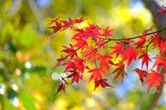 散歩の途中で、Ⅲ