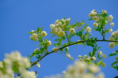 散歩の途中で。⑩