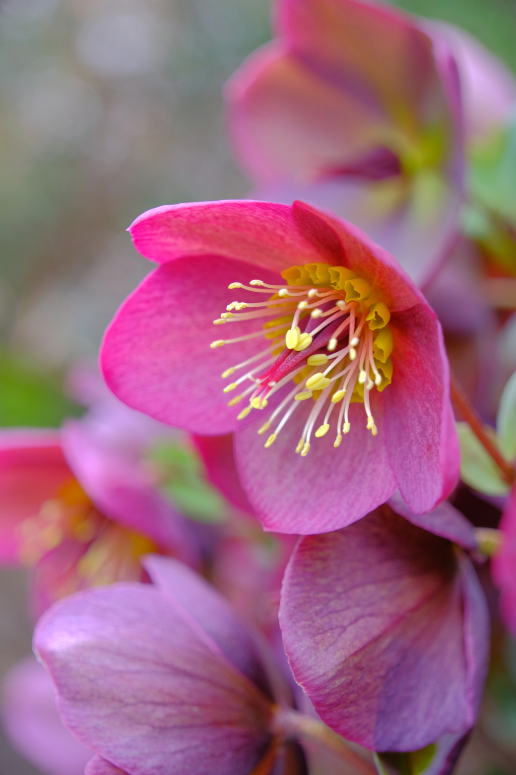 散歩の途中で。2