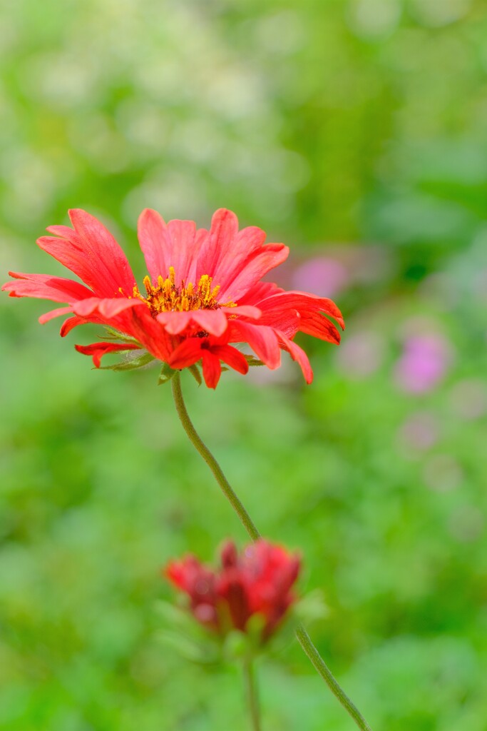 散歩の途中で。Ⅵ