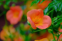 散歩の途中で。