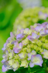 散歩の途中で。Ⅴ