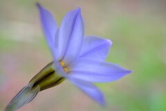 散歩の途中で。④