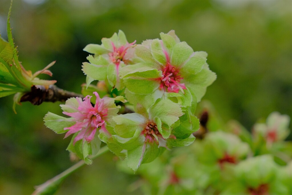 散歩の途中で。⑧