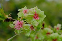 散歩の途中で。⑧