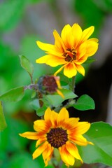 散歩の途中で。Ⅴ