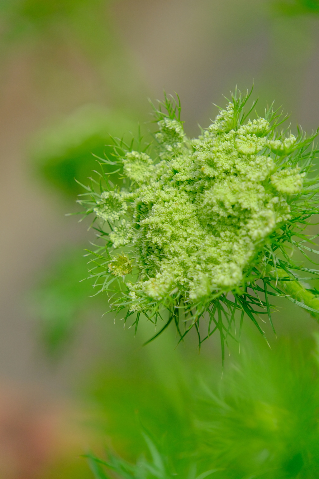 散歩の途中で。②