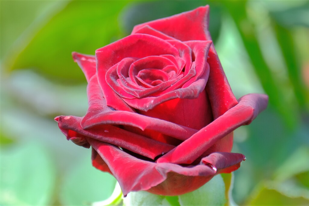 散歩の途中で。①