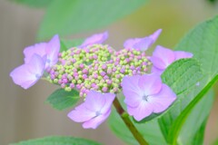 散歩の途中で。