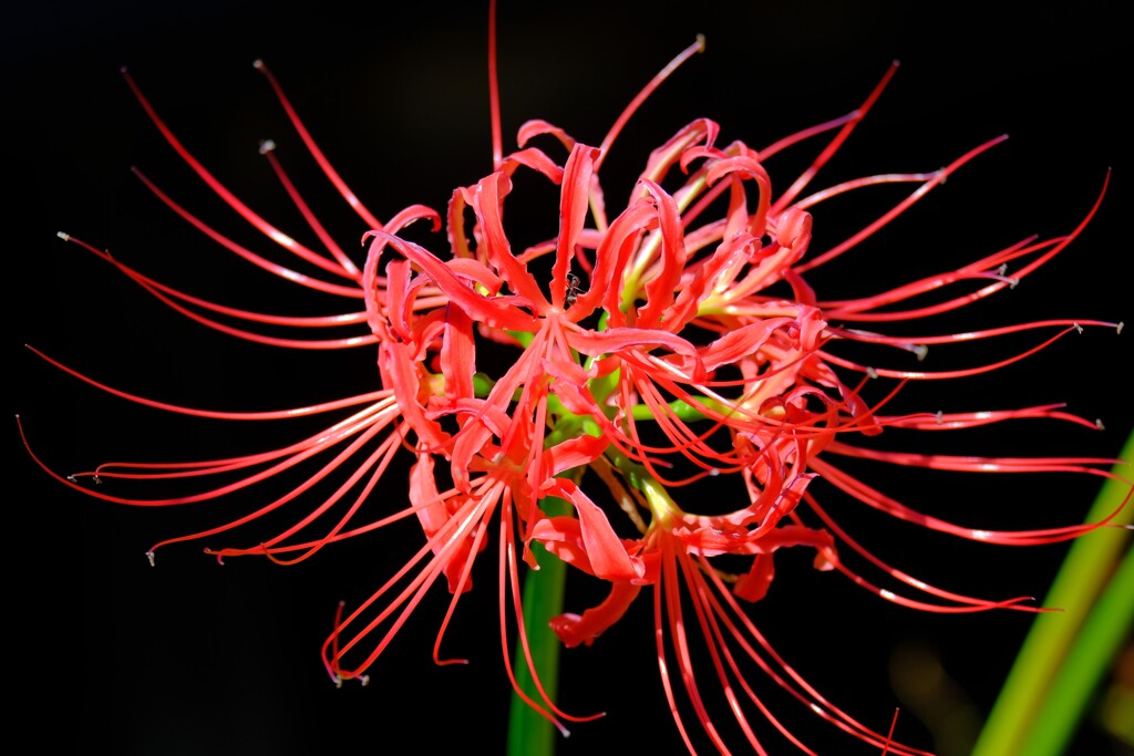 散歩の途中で。７