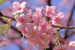 散歩の途中で。Ⅴ