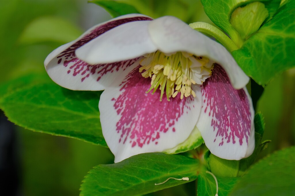 散歩の途中で。④