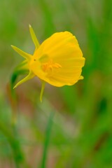 散歩の途中で。Ⅷ