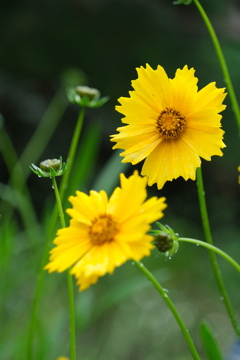 散歩の途中で。5