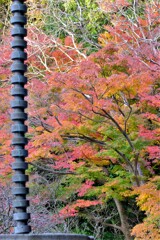 散歩の途中で。Ⅷ