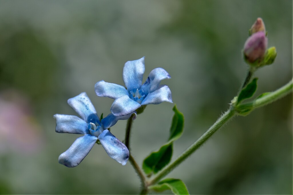散歩の途中で。③