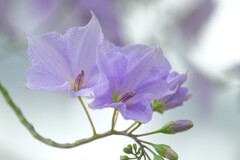 散歩の途中で。