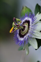 散歩の途中で。3