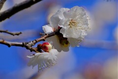 散歩の途中で。Ⅳ