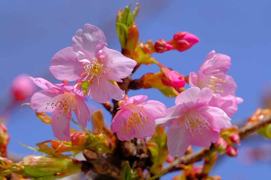 散歩の途中で。１