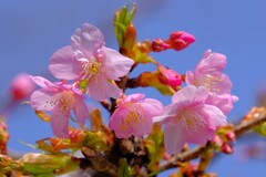 散歩の途中で。１