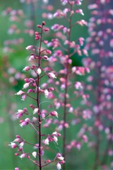 散歩の途中で。Ⅱ