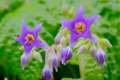 (9)散歩の途中で。6