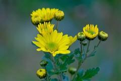 散歩の途中で。Ⅶ