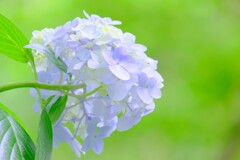 散歩の途中で。