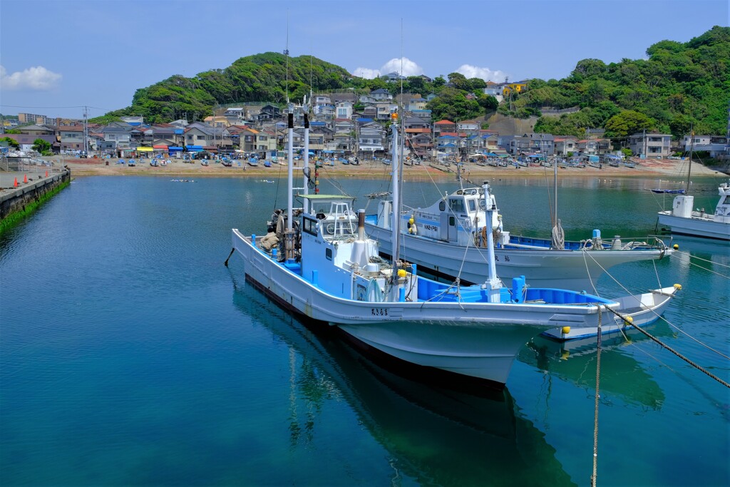 散歩の途中で。