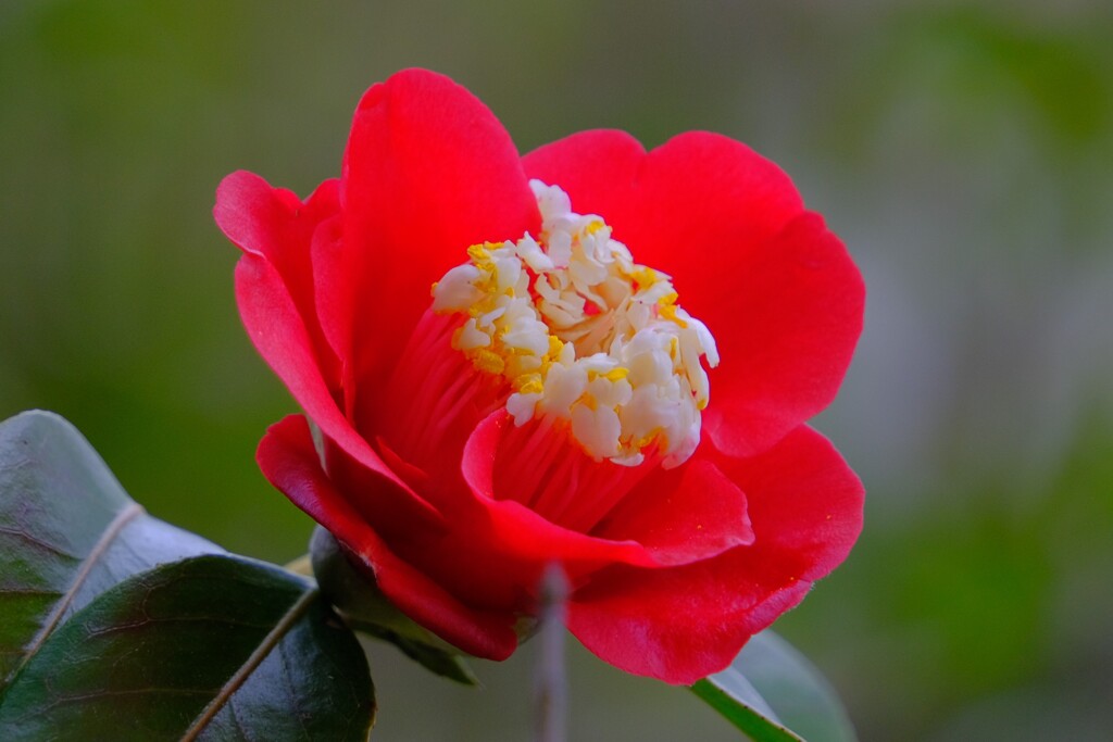 散歩の途中で。Ⅲ