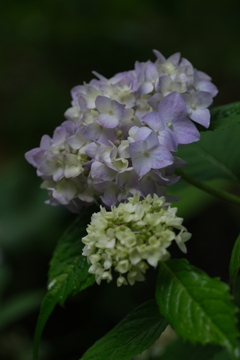 散歩の途中で。1