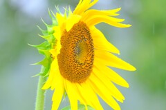 散歩の途中で。