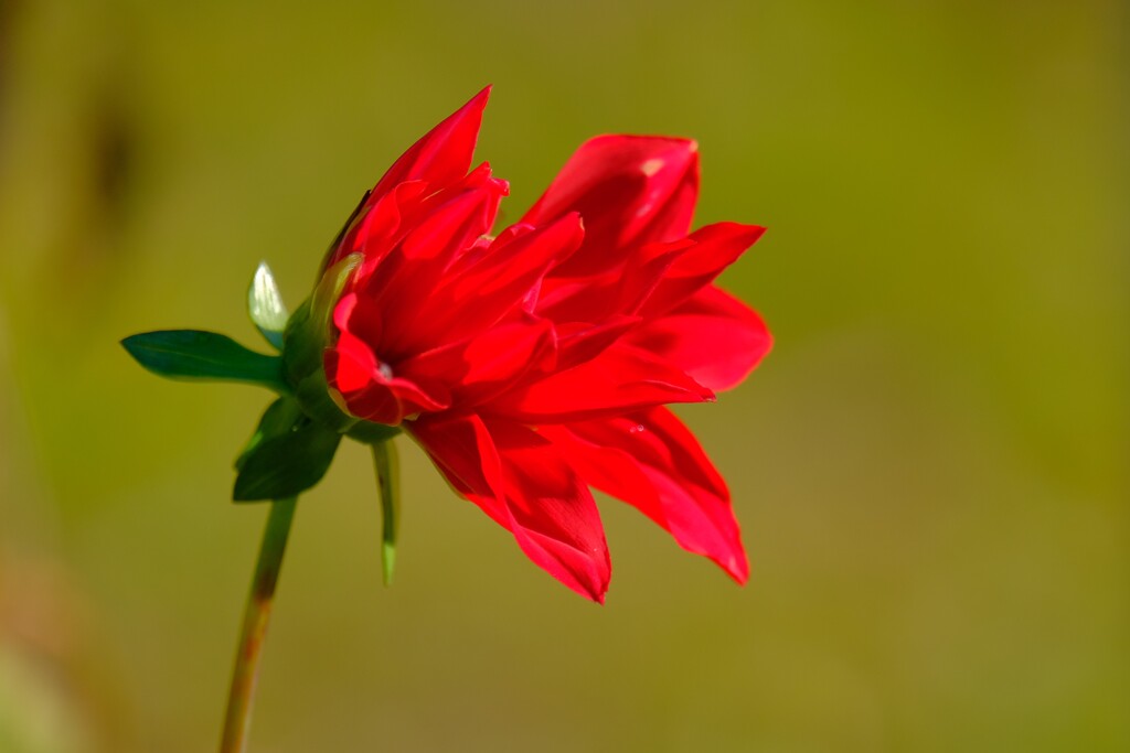 散歩の途中で。9