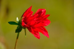 散歩の途中で。9