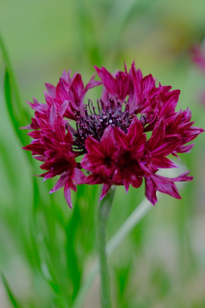 散歩の途中で。Ⅳ